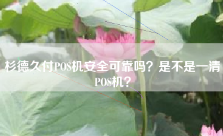 杉德支付POS機是一清機嗎（杉德支付POS機的安全性如何）